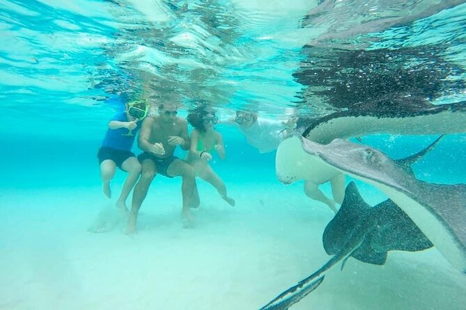 Private Half Day Boat Tour, 3 locations of your choice - Price and Value: $800 Per Group for Up to 8