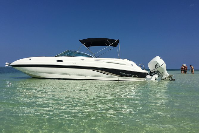 Private Half Day Stingray City, Snorkeling and Starfish Beach Tour - Key Reasons This Tour Works Well