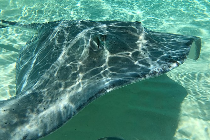 Private Half Day Stingray City, Snorkeling and Starfish Beach Tour - The Boat and On-Board Comfort Details You’ll Actually Appreciate