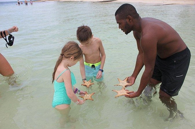 Private Half Day Stingray City, Snorkeling and Starfish Beach Tour - Price and Value: What $600 Per Group Looks Like in Real Life