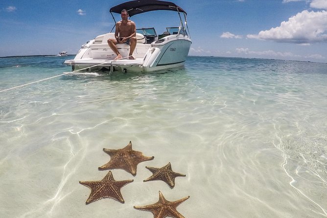 Private, luxury, custom charters to Stingray City, Snorkeling & More - Private comfort on a small boat for up to 8