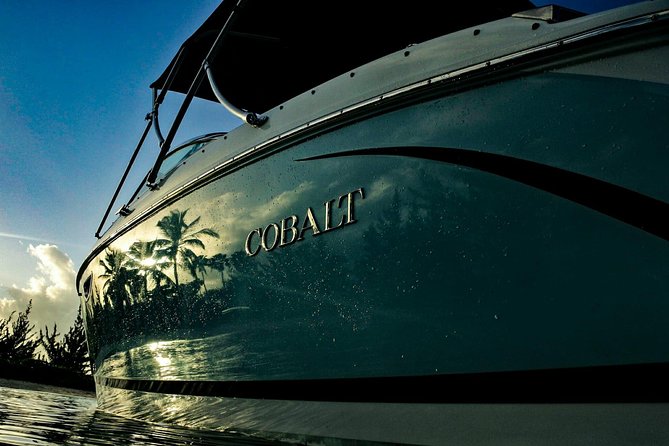 Private, luxury, custom charters to Stingray City, Snorkeling & More - Price and value: $609.95 per group makes sense in the right setup