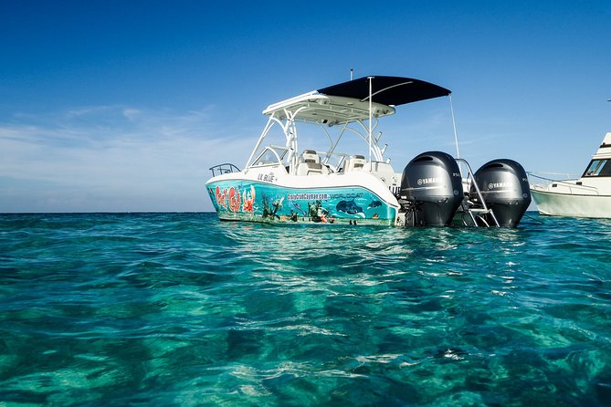 Private Stingray City and Snorkeling Half Day Charter for 6 Guest - Weather and your 4-hour reality check