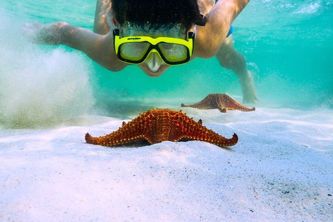 Private Stingray City Snorkeling and BioBay Charter for 10 Guests - Camana Bay departure: your base and why the boat ride matters