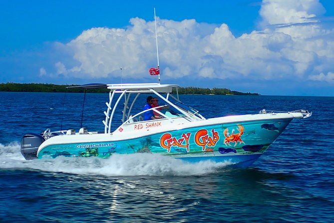 Private Stingray City Snorkeling and BioBay Charter for 10 Guests - Stop 2, Stingray City: warm, clear water and a controlled interaction