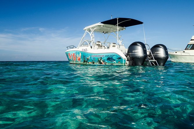 Private Stingray City Snorkeling and BioBay Charter for 10 Guests - The private boat time: built-in flexibility and a local captain mindset