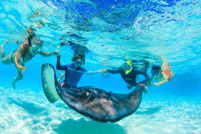 Private Stingray City Snorkeling and BioBay Charter for 6 Guests - Why This Stingray City and BioBay Combo Works So Well Together