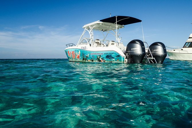 Private Stingray City Snorkeling and BioBay Charter for 6 Guests - Stingray City Snorkeling: Warm Shallows and Friendly Southern Stingrays