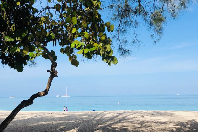 Private Swim Lesson or Triathlon Training on Seven Mile Beach! - Beach logistics: meeting point and smart packing