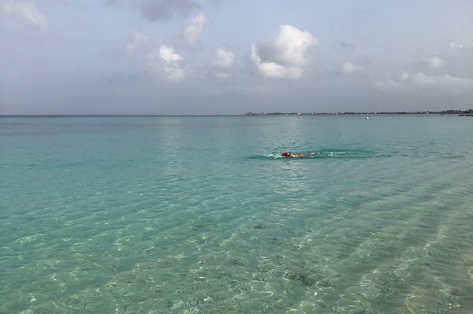 Private Swim Lesson or Triathlon Training on Seven Mile Beach! - Weather reality check for open-water swimming