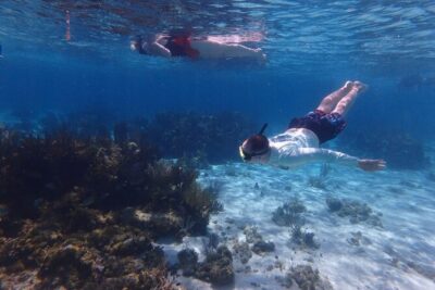 Private Tour to Stingray City & Snorkeling at Coral Gardens