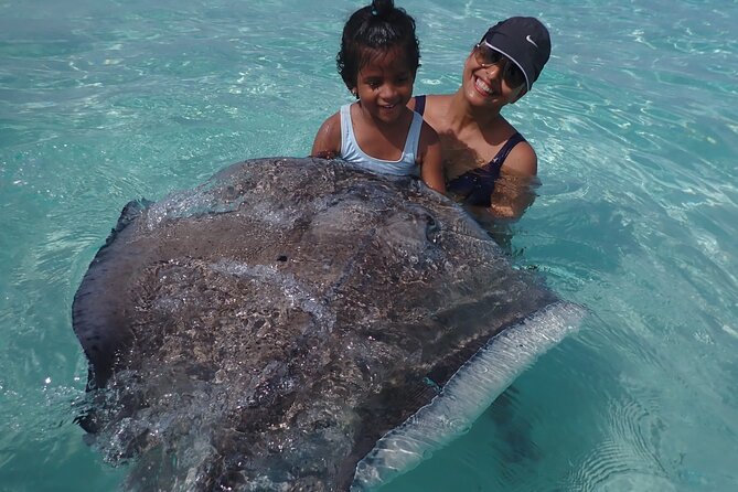 Private Tour to Stingray City & Snorkeling at Coral Gardens - Coral Gardens snorkeling: what the reef gives you at 8 to 10 feet
