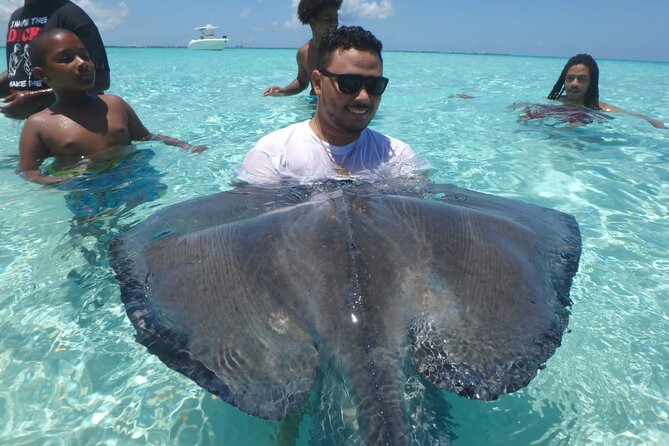 Private Tour to Stingray City & Snorkeling at Coral Gardens - Price and value: $700 per group, and when it actually makes sense