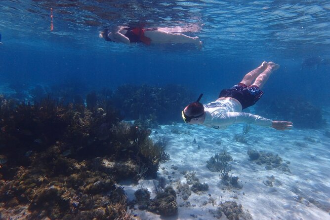 Private Tour to Stingray City & Snorkeling at Coral Gardens - Meeting at Tukka West and setting up an easy start
