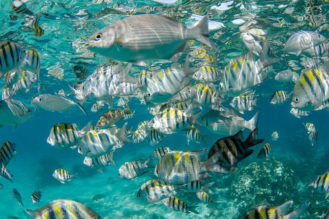 Private Yacht 48 ft Sting Ray City, Snorkel & Starfish Beach - Food and the little comforts that make a charter feel worth it
