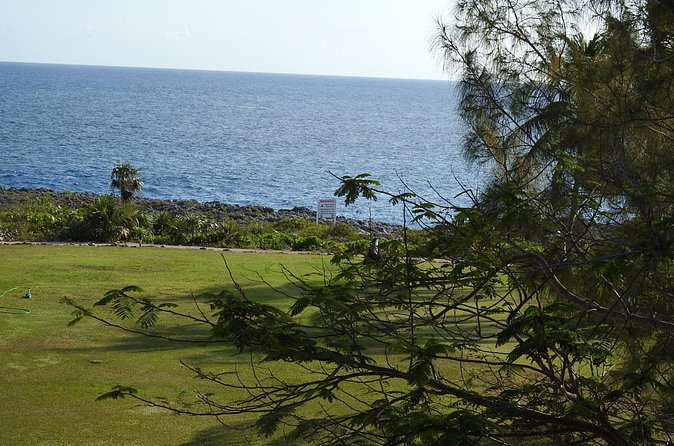 Queen Elizabeth II Botanic Park and Pedro St James Castle Tour in Grand Cayman - Getting From the Cruise Terminal Without Losing Your Half-Day