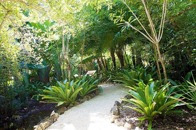 Queen Elizabeth II Botanic Park and Pedro St James Castle Tour in Grand Cayman - Who This Tour Fits Best (And Who Might Want Something Else)