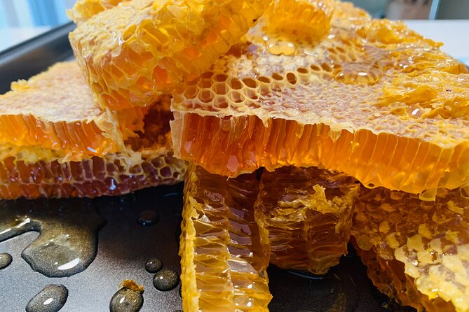 Reagan’s Honey Beekeeping Adventure - The tour rhythm: 2 hours with a group of 2 to 4