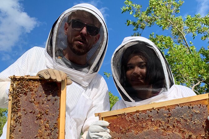 Reagan’s Honey Beekeeping Adventure - Inside an active hive: queen spotting and the colony’s inner workings