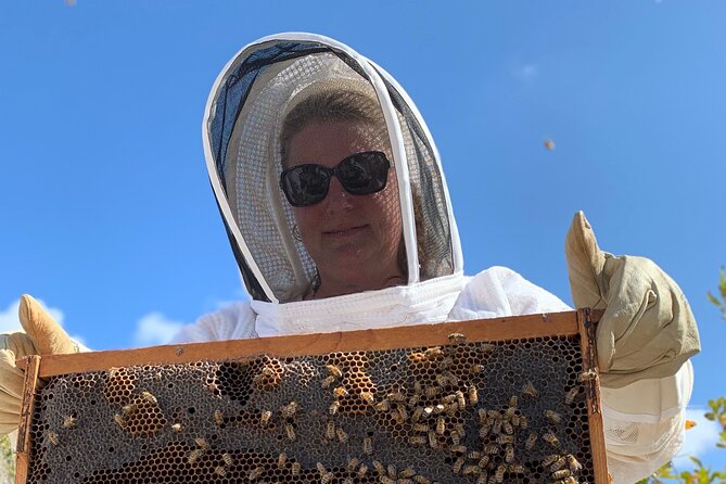 Reagan’s Honey Beekeeping Adventure - After the bees: tasting Cayman honey and recharging with snacks