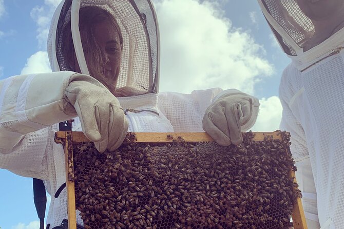 Reagan’s Honey Beekeeping Adventure - Price and value at $66.67 per person