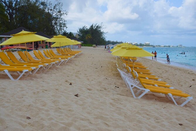 Small Group 7 Mile Beach Stingray City and Coral Gardens Tour - A Five-Hour Best-of-Day on Grand Cayman: How This Tour Feels in Real Life
