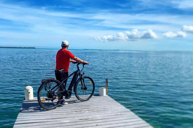 Small Group E-Bike Grand Cayman Ecological Half-Day Tour - E-Bike Comfort, Safety, and How Easy This Really Is