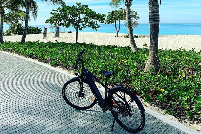 Small Group E-Bike Grand Cayman Ecological Half-Day Tour - Meeting Point at Paddle Wheel Adventures and What to Expect