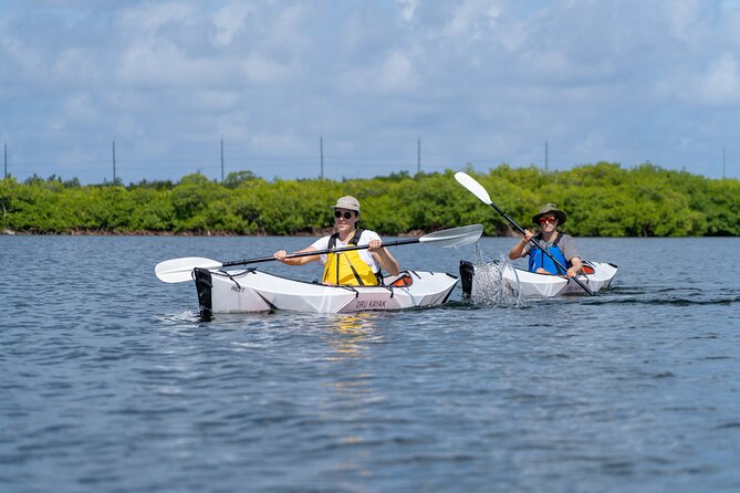 Small Group Glass Bottom Kayak Adventure- Cayman Islands - Key Things to Know Before You Go