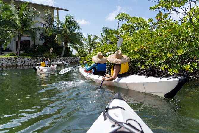 Small Group Glass Bottom Kayak Adventure- Cayman Islands - Why a Glass-Bottom Kayak Feels Different in Grand Cayman
