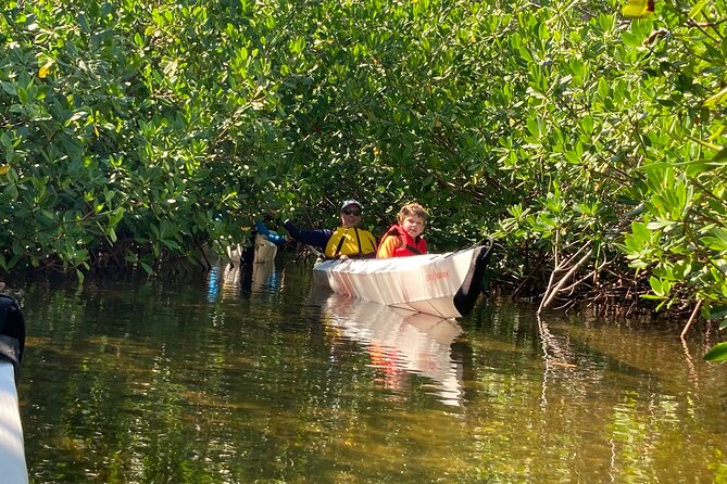 Small Group Glass Bottom Kayak Adventure- Cayman Islands - Mangroves Under Glass: What You’ll Likely See