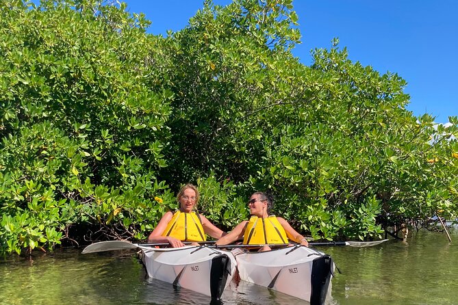 Small Group Glass Bottom Kayak Adventure- Cayman Islands - Single vs Double Kayaks: Choose Smart, Confirm Expectations