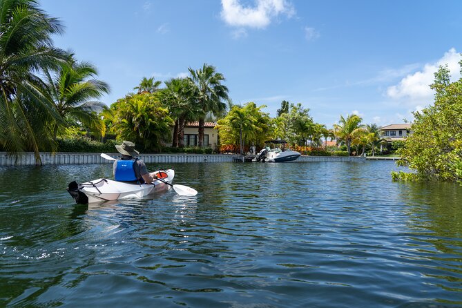 Small Group Glass Bottom Kayak Adventure- Cayman Islands - What to Wear, Bring, and Do Before You Paddle