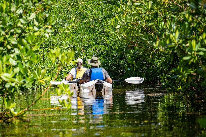 Small Group Glass Bottom Kayak Adventure- Cayman Islands - Anchors Store to Cayman Islands Yacht Club Launch Point