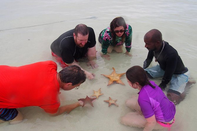 Starfish Point, Stingray City & Coral Garden (3-STOP Adventure) - Coral Gardens: Snorkeling the Coral Heads Like a Naturalist