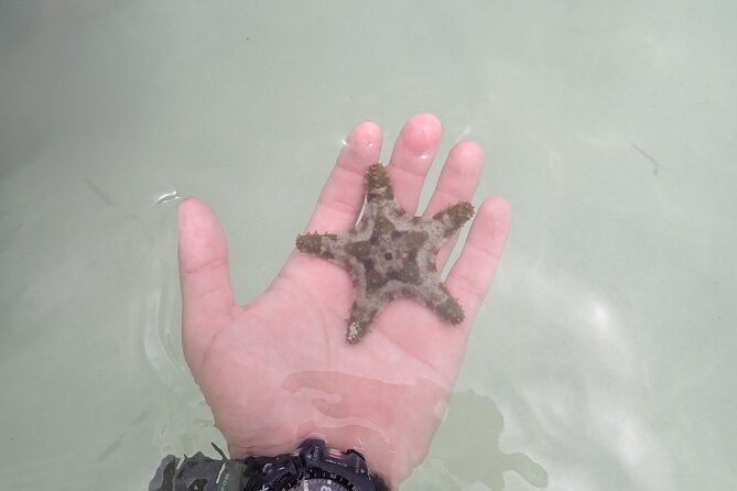 Starfish Point, Stingray City & Coral Garden (3-STOP Adventure) - Boat Comfort, Crew Energy, and Included Gear That Actually Helps