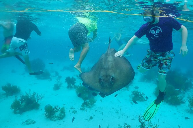 Swimming beside a southern stingray on the Stingray City sandbar