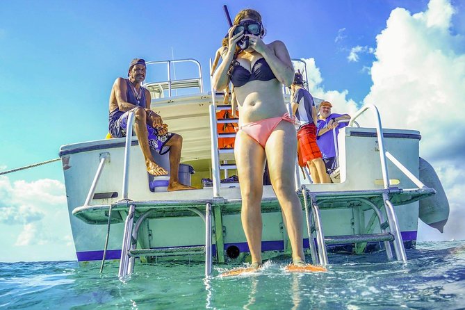 Starfish Point, Stingray City-Sandbar & Coral Gardens - Starfish Point: The Best Rule Is Keep It in the Water
