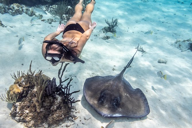 Starfish Point, Stingray City-Sandbar & Coral Gardens - Price and Value: What $65 Buys You and What You Still Need