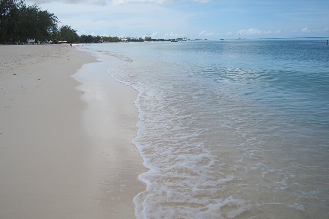 Stingray City and Seven Mile Beach Adventure Tour - Group size, guides, and what professionalism looks like in choppy weather