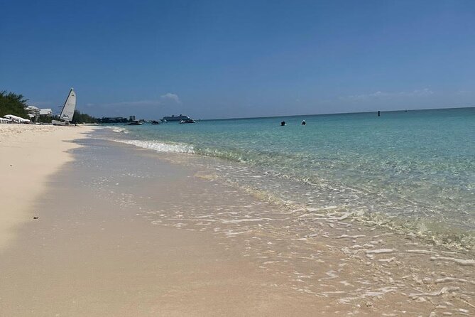 Stingray City and Seven Mile Beach Adventure Tour - Price and value: why $99 can make sense for a focused half-day