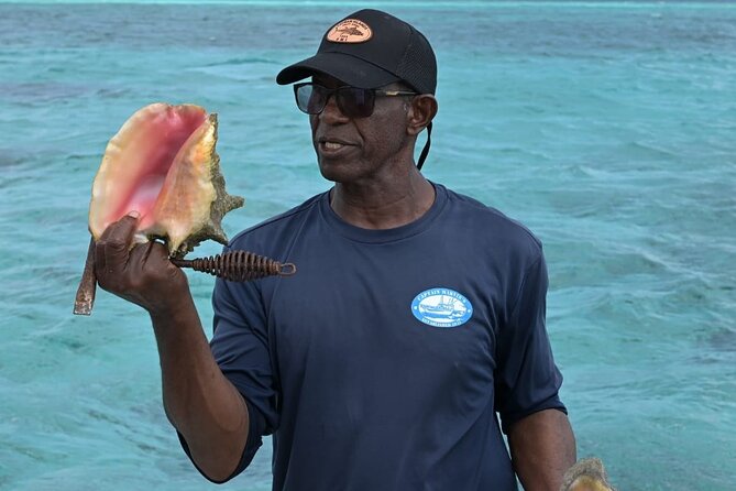 Stingray City and Snorkel Tour With Lunch - Who this tour is best for, and who might hesitate