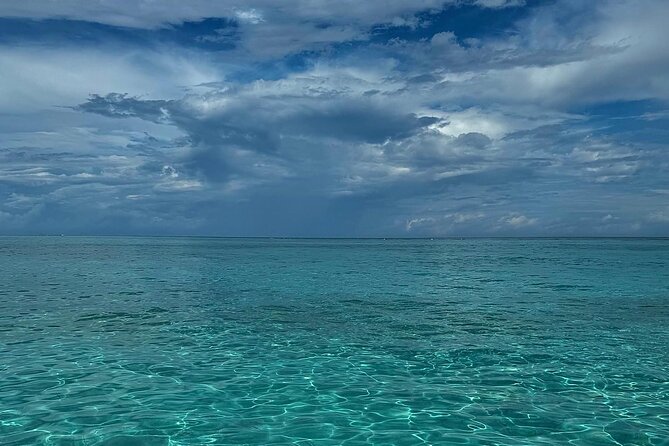 Stingray City and Snorkeling Private Charter - Why a private stingray charter feels different in Grand Cayman