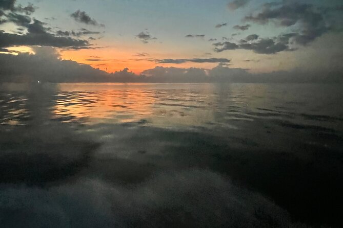 Stingray City and Snorkeling Private Charter - Snorkeling for coral life and fish, plus sea grass starfish searching