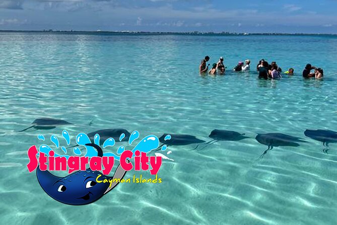 Stingray City and Starfish Experience with Coral Reef Snorkeling - Stop 1 Stingray City: a sandbar swim with southern stingrays