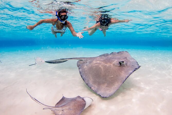 Stingray City and Starfish Experience with Coral Reef Snorkeling - Stop 3 Coral Garden snorkeling: colorful reefs in a shorter session