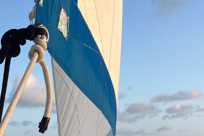 Stingray City Catamaran Sunset Tour - Drinks, Small Comforts, and What’s Included