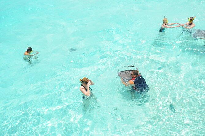 Stingray City, Coral Gardens & Frankie's Local Lunch & Juice - Frankie’s Local Food and Juice: the part that feels truly Cayman