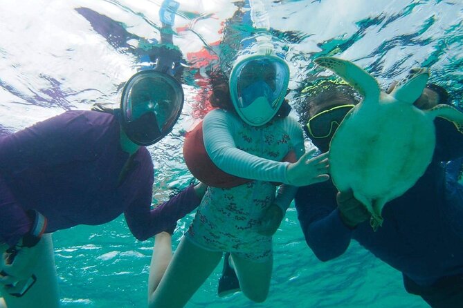 Stingray City Experience Plus One Snorkeling Stop - Pickup, timing, and how to avoid cruise-day stress