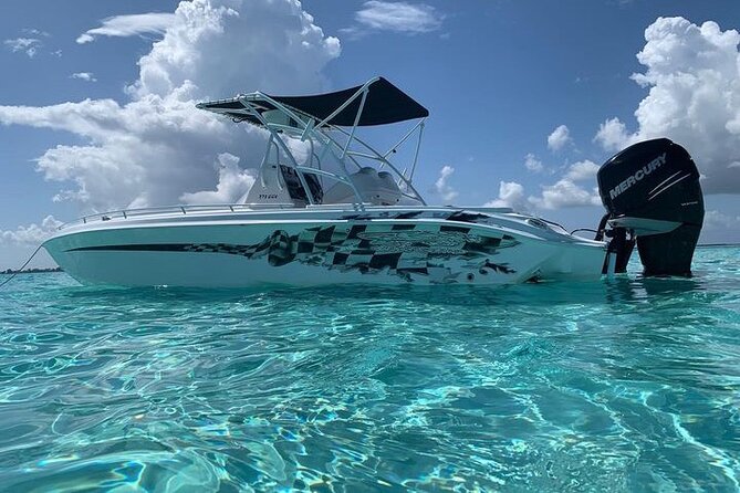 Stingray City Experience Plus Two Snorkeling spots Private Boat - Meeting At Cayman Islands Yacht Club, Then Getting Out Fast